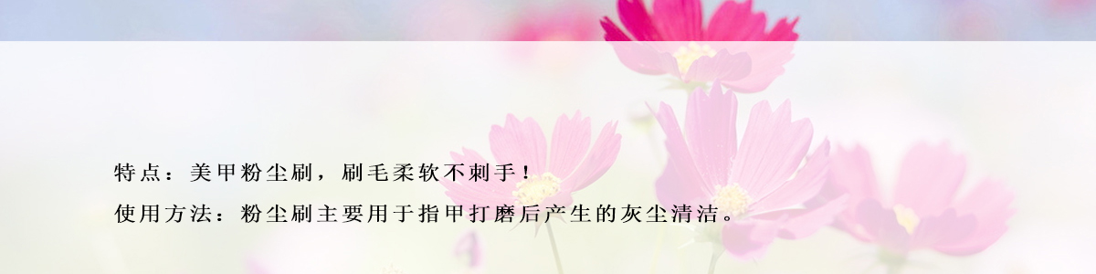 毛刷、粉塵刷，清潔刷