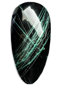 HP006
